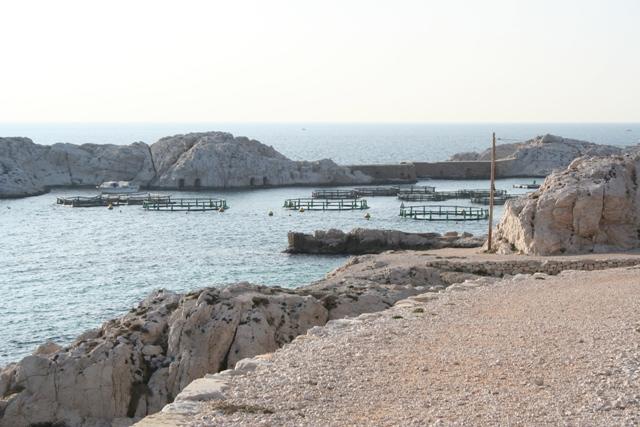 Les îles du Frioul Les îles du Frioul